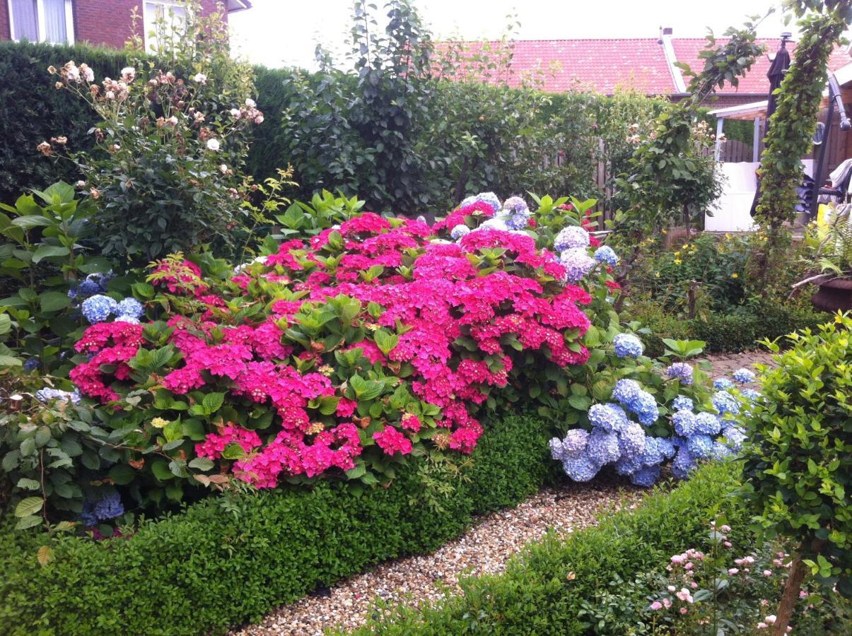 Chalet Or Apartment Nearby Roermond Outlet Stevensweert Exteriör bild